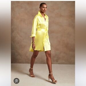 Banana Republic Petite Muse Silk Shirtdress EUC